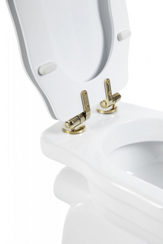 Унитаз приставной с горизонтальным выпуском BelBagno Boheme BB115CB