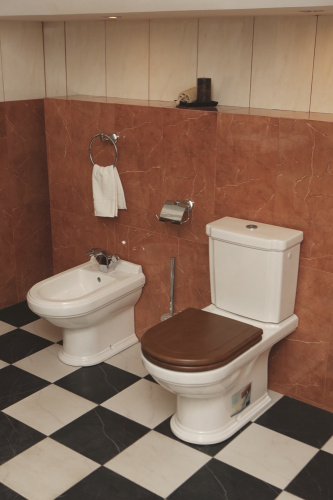 Унитаз Villeroy&Boch Hommage 666210R2 / 772111R2