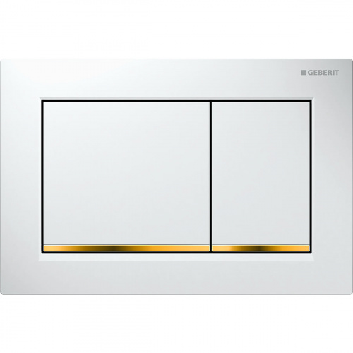 Смывная клавиша Geberit Omega30, двойной смыв