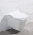 Унитаз подвесной BelBagno Dory BB522ACHR, безободковый Унитаз подвесной BelBagno Dory BB522ACHR, безободковый