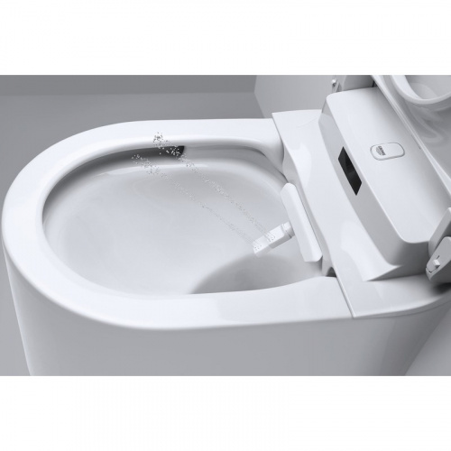 Инсталляция Grohe с безободковым унитазом Grohe Sensia Arena 39354SH0 с биде и феном, сиденье с микролифтом