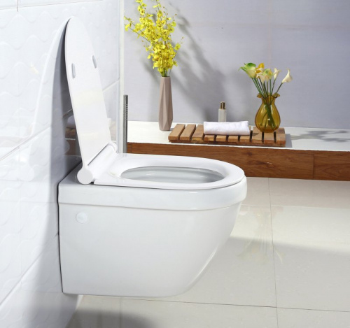 Унитаз подвесной BelBagno Cento-R BB509CH, безободковый