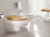 Унитаз Villeroy&Boch My Nature Plus 5610 10R1 подвесной Унитаз Villeroy&Boch My Nature Plus 5610 10R1 подвесной