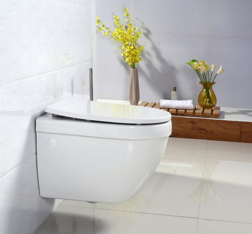 Унитаз подвесной BelBagno Cento-R BB509CH, безободковый